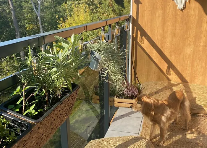 Apartamento Przytulne Mieszkanko Przy Lesie Na Wawrze Varsovia