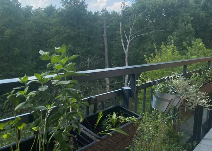 Lejlighed Przytulne Mieszkanko Przy Lesie Na Wawrze