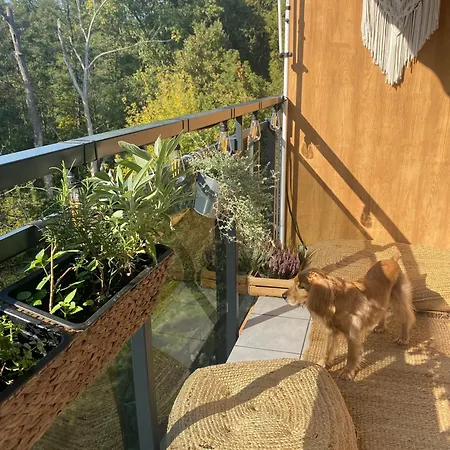 Апартаменты Przytulne Mieszkanko Przy Lesie Na Wawrze Варшава