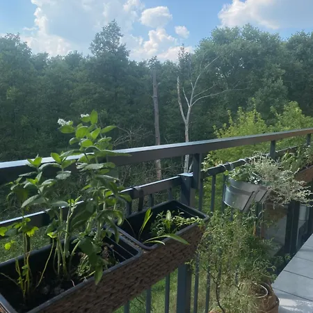 Апартаменты Przytulne Mieszkanko Przy Lesie Na Wawrze